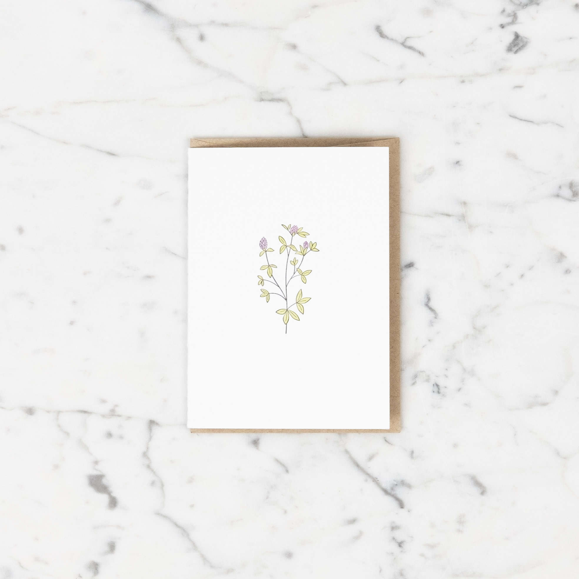 Green Bird Press Red Clover Wildflower Letterpress Card