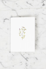 Green Bird Press Red Clover Wildflower Letterpress Card