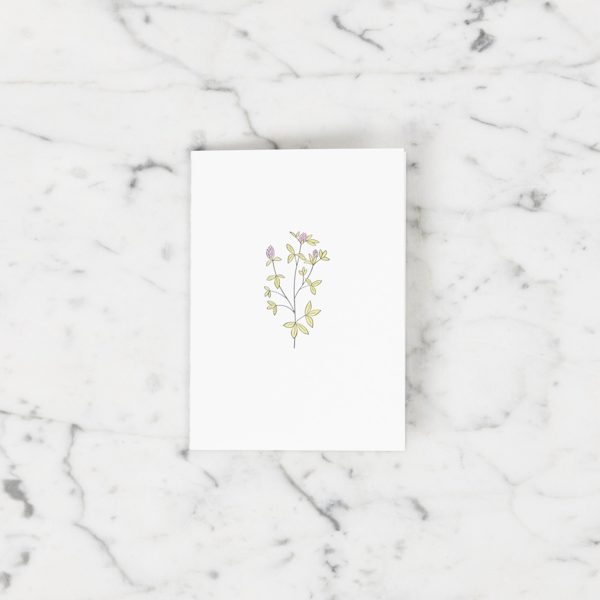 Green Bird Press Red Clover Wildflower Letterpress Card
