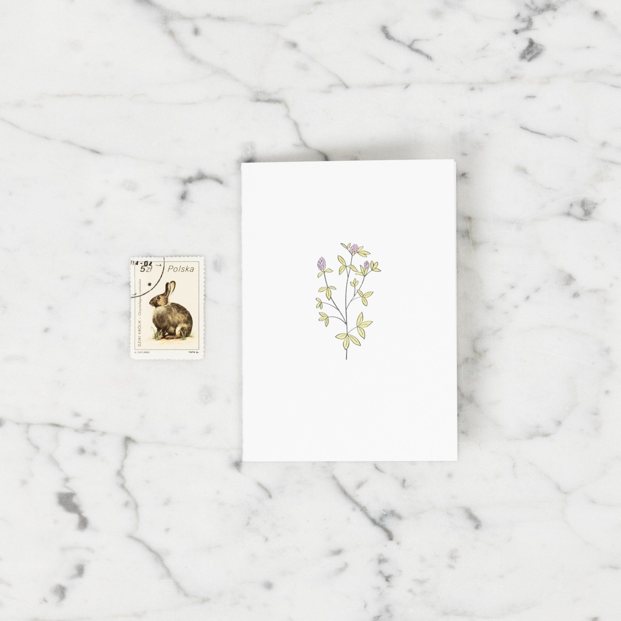 Red Clover Wildflower Letterpress Card