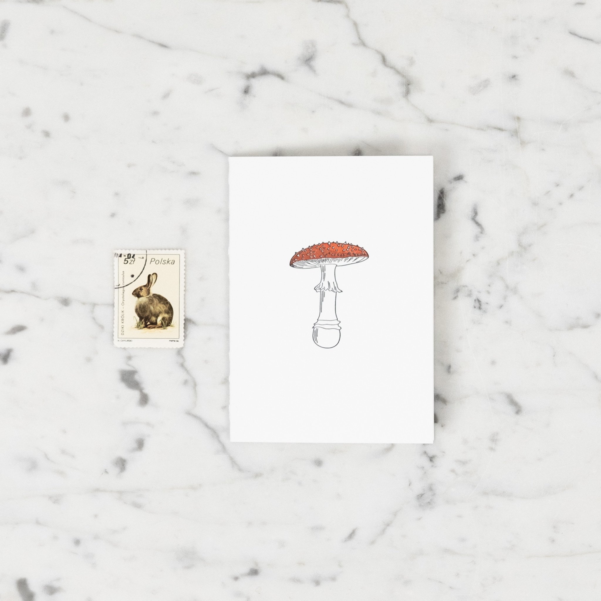 Green Bird Press Fly Agaric Mushroom - Red and White Spotted - Letterpress Card