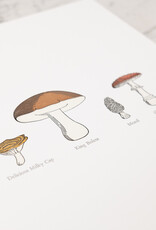 Green Bird Press A Few Mushrooms Letterpress Art Print - 12 x 18"