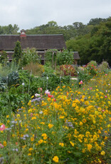 Seed Savers Exchange Seed Savers - Flower, Bee Feed Mix- 5M Seeds