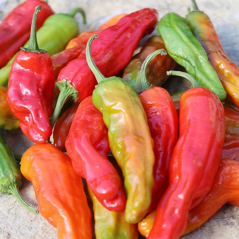 Seed Savers Exchange Seedsavers Seed Pack - Pepper, Shishito (organic) - Pack Of 25