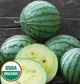 Seed Savers Exchange Watermelon Seeds - Petite Yellow (organic)