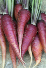 Seed Savers Exchange Carrot Seeds - Cosmic Purple