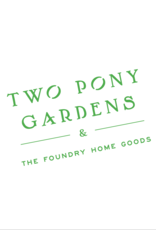 2024 Foundry + Two Pony CSA - Bountiful Farm + Foundry Subscription : May-Sept