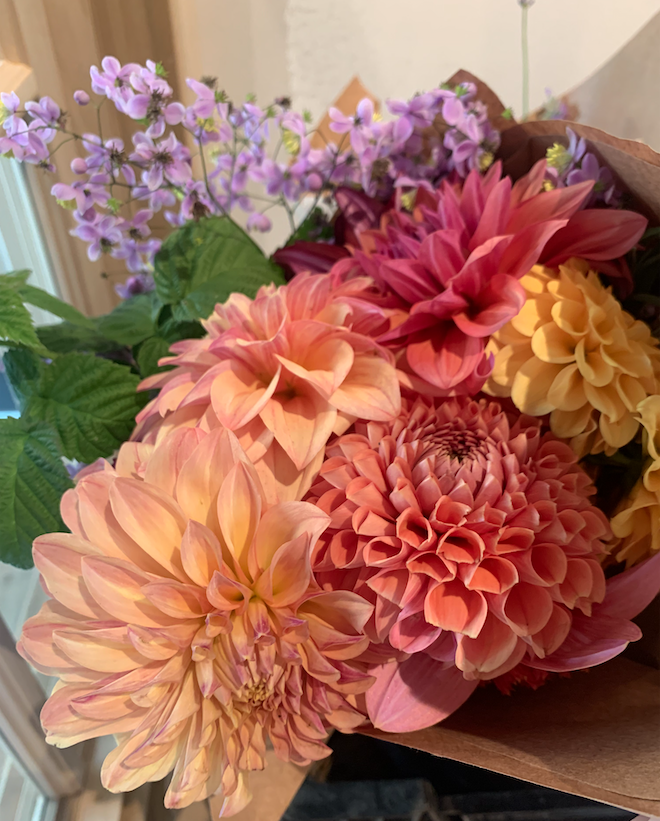 2025 Two Pony Gardens Dahlia LITTLE BUCKET Subscription (6 weeks)
