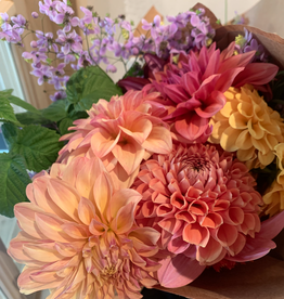 2025 Two Pony Gardens Dahlia LITTLE BUCKET Subscription (6 weeks)