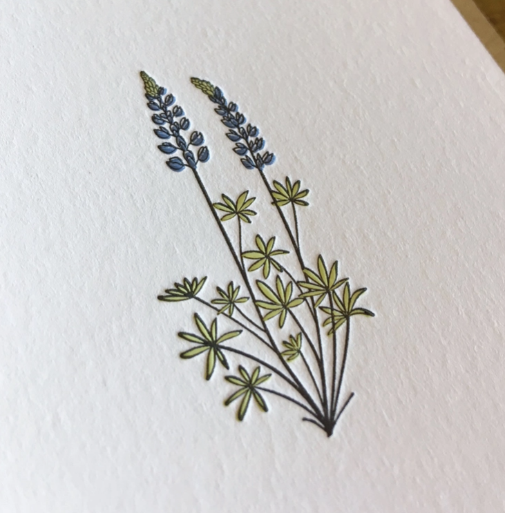 Green Bird Press Lupine Wildflower Letterpress Card