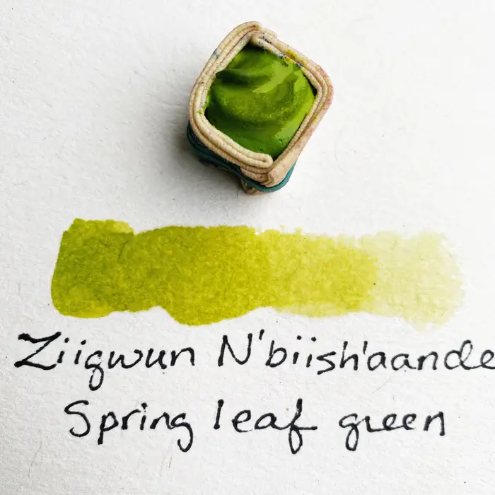 Beam Paints Beam Watercolor Paintstones #07 Ziigwun Azaadibuk'aande Spring Poplar Leaf Green
