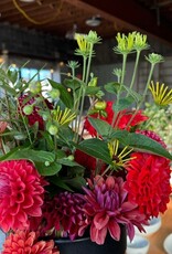 Bucket Of Glorious Two Pony Gardens Dahlias