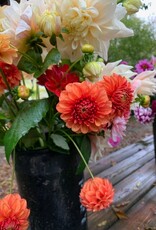 Bucket Of Glorious Two Pony Gardens Dahlias