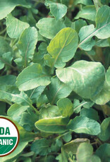 Seed Savers Exchange Seed Savers - Arugula, Arugula (organic)- Pack of 25 Seeds