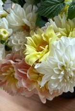 Joan's Collection @ Two Pony Two Pony Dahlia Plant 'BRIDEZILLA’ Joan's Collection