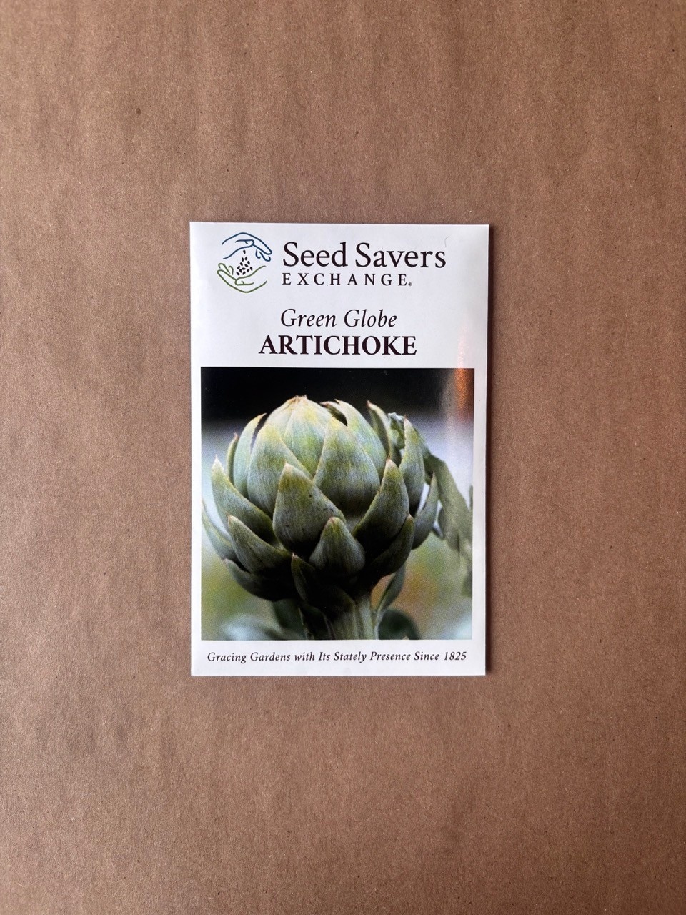 Seed Savers Exchange Seedsavers Seed Pack - Artichoke, Green Globe - Pack Of 25