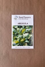 Seed Savers Exchange Seed Savers - Arugula, Arugula (organic)- Pack of 25 Seeds