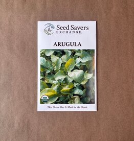 Seed Savers Exchange Seed Savers - Arugula, Arugula (organic)- Pack of 25 Seeds