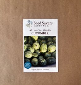 Seed Savers Exchange Seedsavers Seed Pack - Cucumber, Mexican Sour Gherkin - Pack Of 30