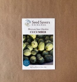 Seed Savers Exchange Seedsavers Seeds - Cucumber,  Mexican Sour Gherkin - Pack Of 30