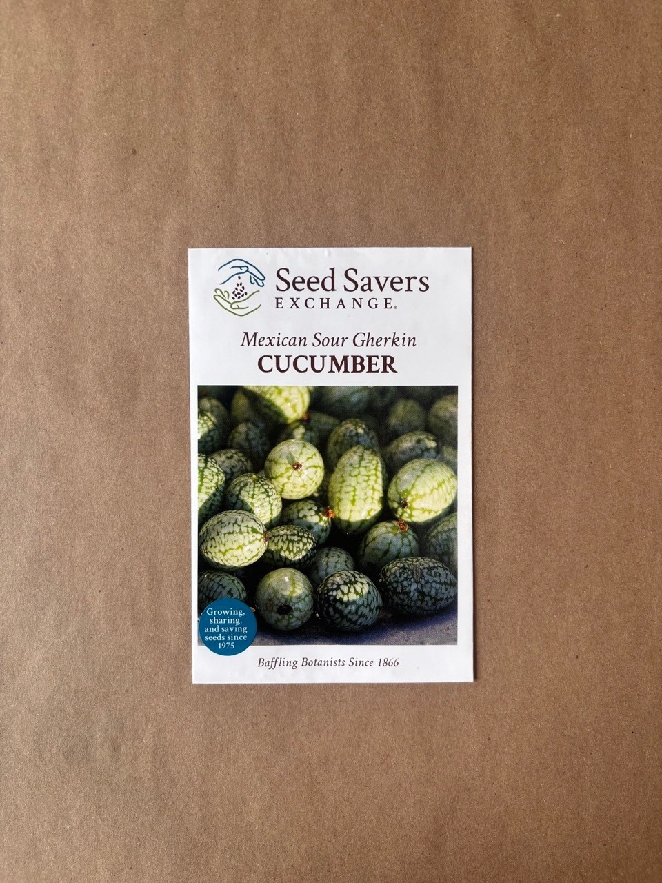 Seed Savers Exchange Seedsavers Seed Pack - Cucumber, Mexican Sour Gherkin - Pack Of 30