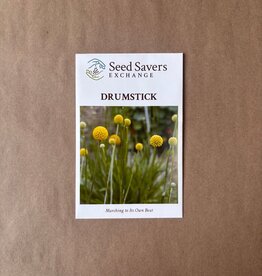 Seed Savers Exchange Seedsavers Seed Pack - Flower, Drumstick - Pack Of 25