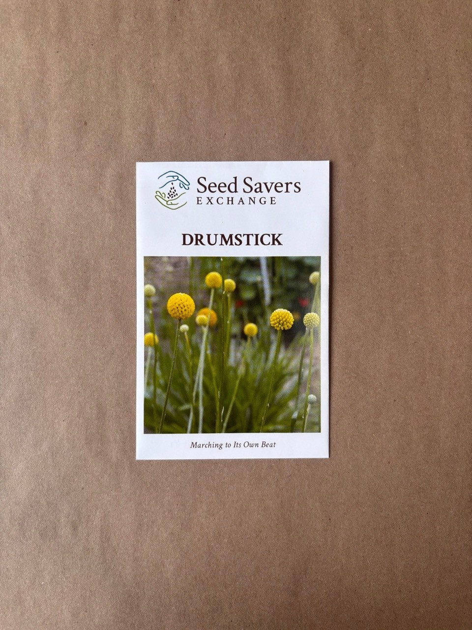 Seed Savers Exchange Seedsavers Seed Pack - Flower, Drumstick - Pack Of 25