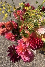 Seed Savers Exchange Seed Savers - Herb, Dill Bouquet (organic)- Pack of 150 Seeds