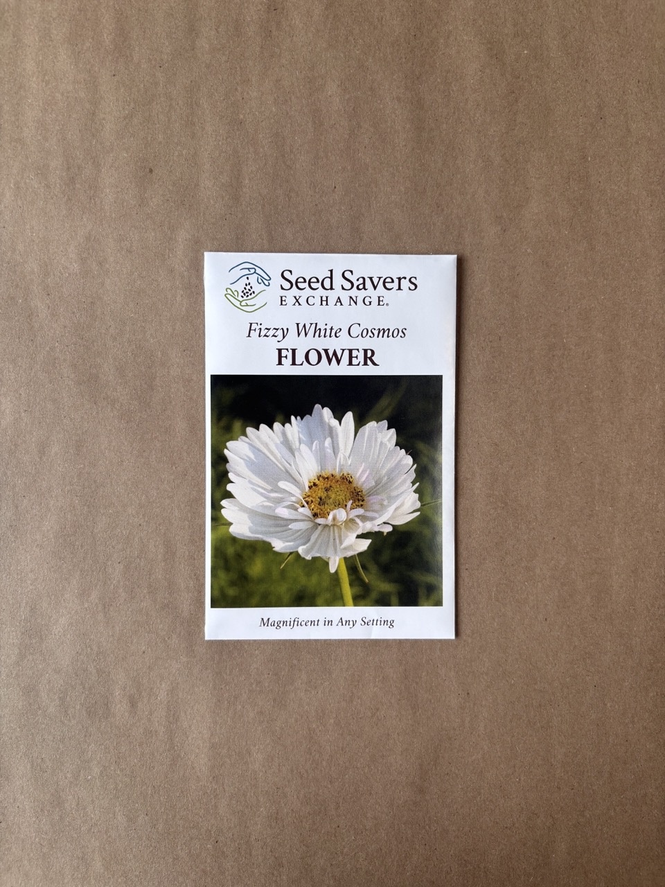 Seed Savers Exchange Seedsavers Seed Pack - Flower, Fizzy White Cosmos - Pack Of 50