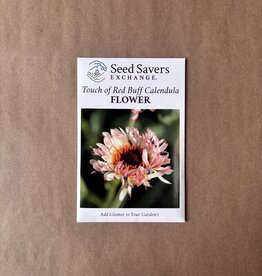 Seed Savers Exchange Seed Savers - Flower, Touch of Red Buff Calendula- Pack of 100 Seeds