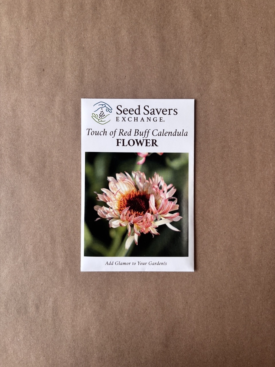 Seed Savers Exchange Seed Savers - Flower, Touch of Red Buff Calendula- Pack of 100 Seeds