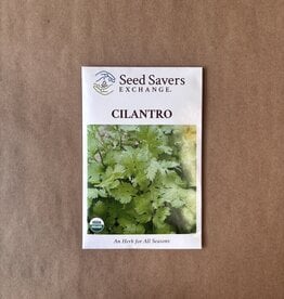 Seed Savers Exchange Seedsavers Seeds - Herbs, Cilantro (organic) - Pack Of 150