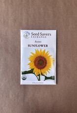 Seed Savers Exchange Seed Savers - Sunflower, Rostov (organic)- Pack of 50 Seeds