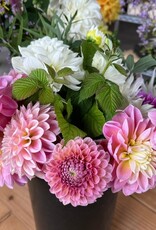 2025 Two Pony Gardens Dahlia BIG BUCKET Subscription (6 weeks)