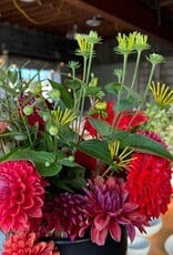 2025 Two Pony Gardens Dahlia BIG BUCKET Subscription (6 weeks)