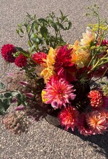 2025 Two Pony Gardens Dahlia BIG BUCKET Subscription (6 weeks)