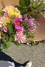 2025 Two Pony Gardens Dahlia LITTLE BUCKET Subscription (6 weeks)