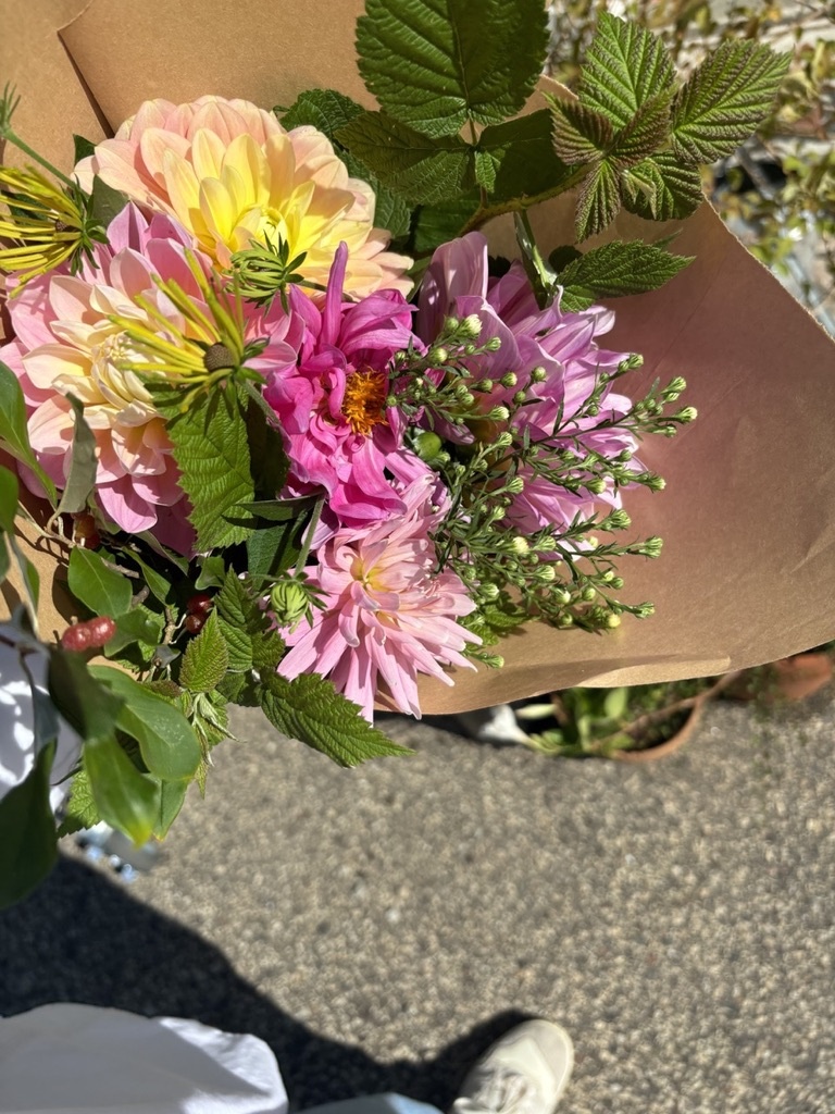 2025 Two Pony Gardens Dahlia LITTLE BUCKET Subscription (6 weeks)