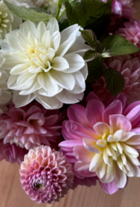 2025 Two Pony Gardens Dahlia LITTLE BUCKET Subscription (6 weeks)