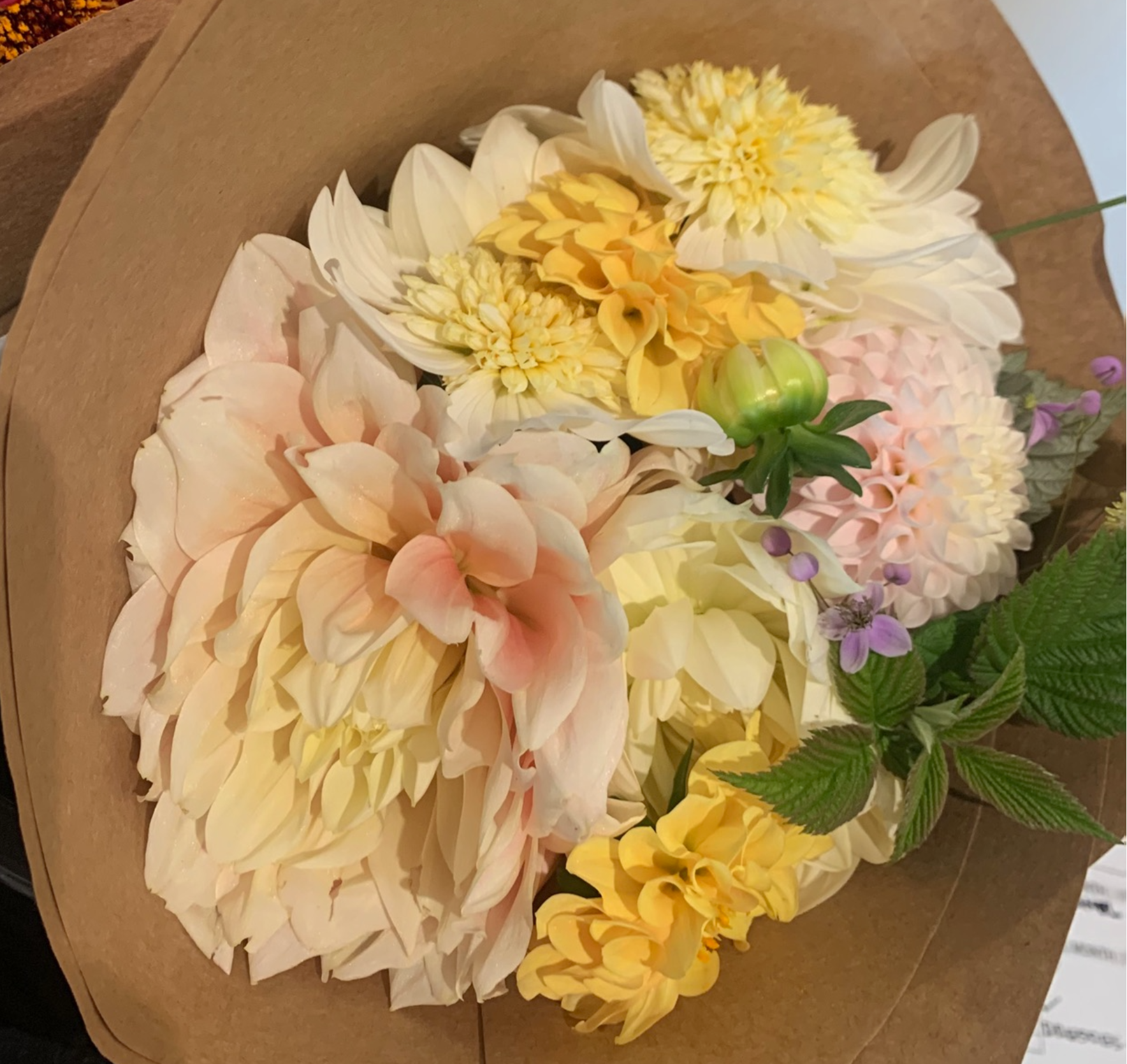 2025 Two Pony Gardens Dahlia LITTLE BUCKET Subscription (6 weeks)