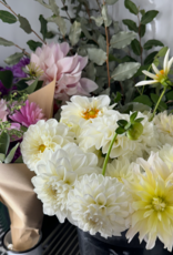 2025 Two Pony Gardens Dahlia LITTLE BUCKET Subscription (6 weeks)