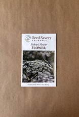 Seed Savers Exchange Seedsavers Seed Pack - Flower, Bishop's Flower - Pack Of 40