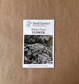 Seed Savers Exchange Seedsavers Seed Pack - Flower, Bishop's Flower - Pack Of 40