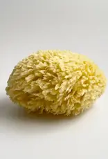 Nectar Republic Large Natural Bath Sea Sponge