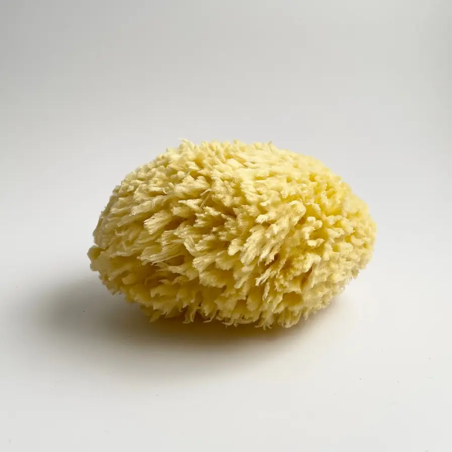 Nectar Republic Large Natural Bath Sea Sponge