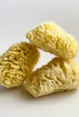 Nectar Republic Large Natural Bath Sea Sponge