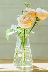 Conical Beaker Vase - 100ml