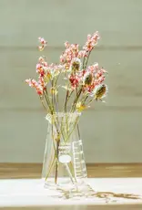 Hario Conical Glass Beaker Vase - 100ml