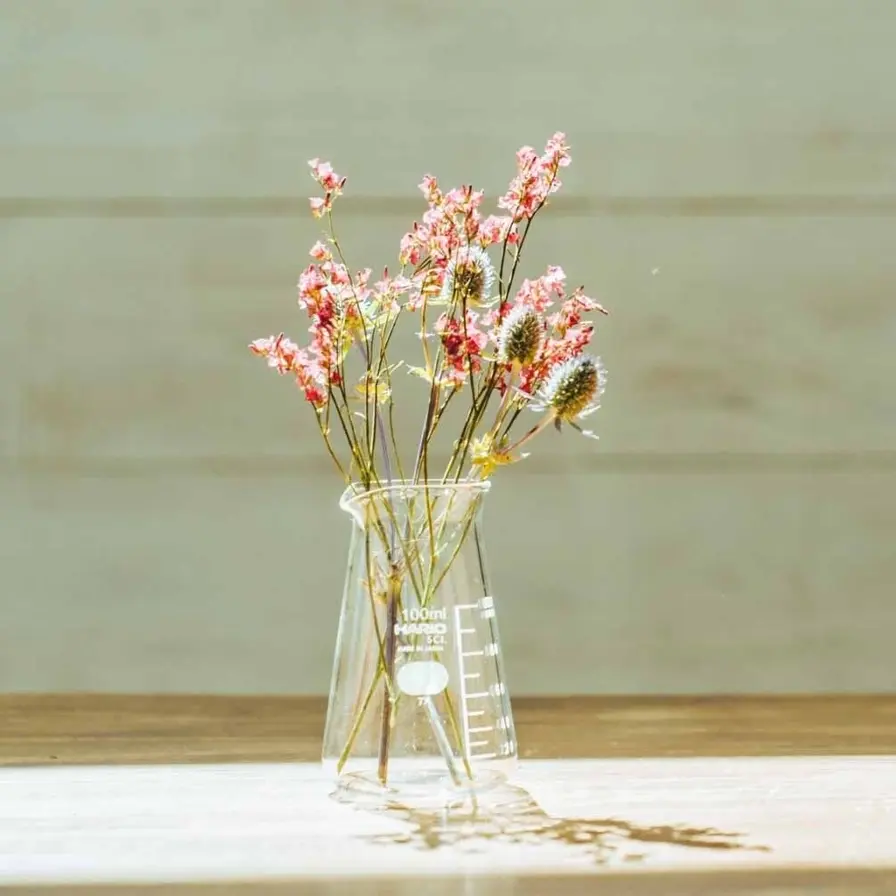 Conical Beaker Vase - 100ml