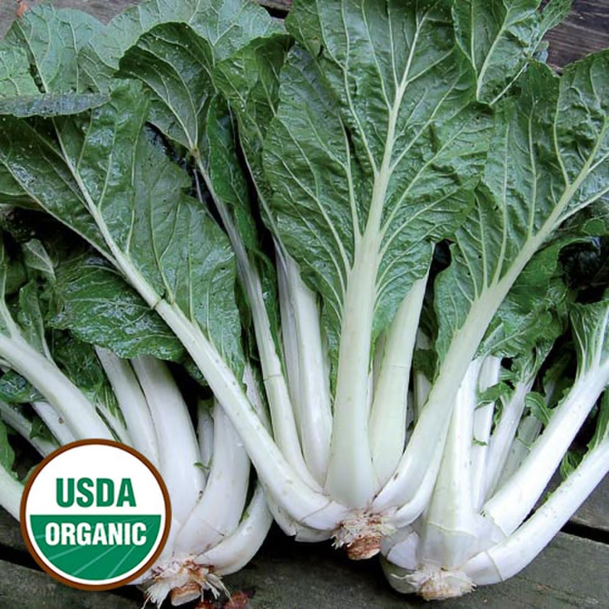 Seed Savers Exchange Seed Savers - Asian Green, Prize Choy (organic)- Pack of 200 Seeds